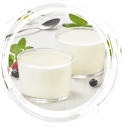 Yaourt bio en verrines