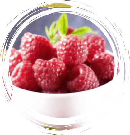 Yaourts aux framboises - sans arôme