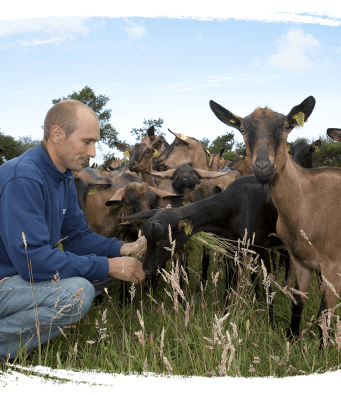 Bien être animal éleveur et chèvres