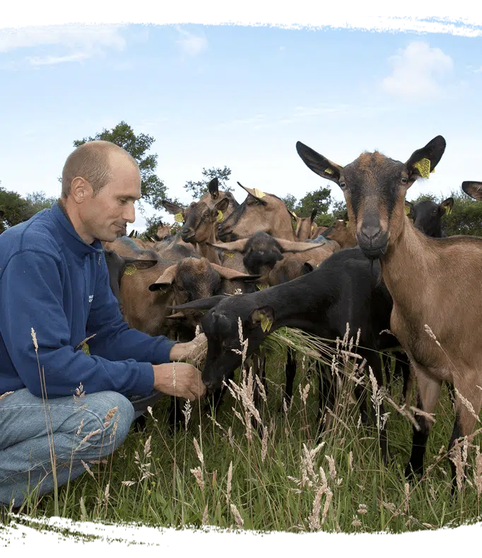 Bien être animal éleveur et chèvres