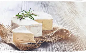 Camembert bio d'Anjou