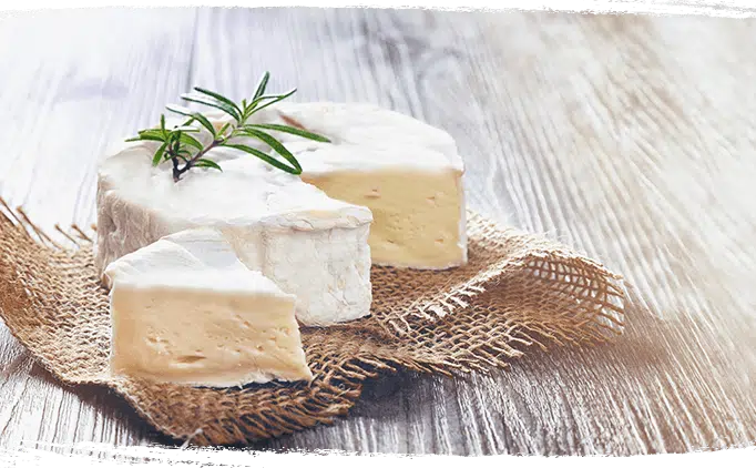 Camembert bio d'Anjou