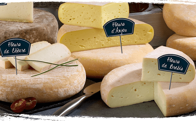 Fleurs - fromages affinés bio