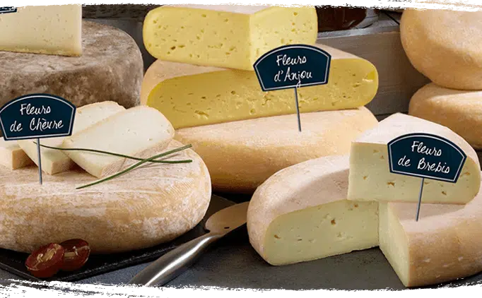 Fleurs - fromages affinés bio