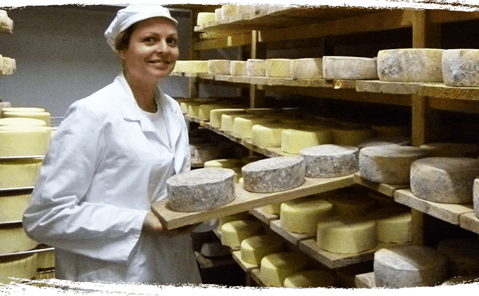 Marie Gaborit - Cave à fromage