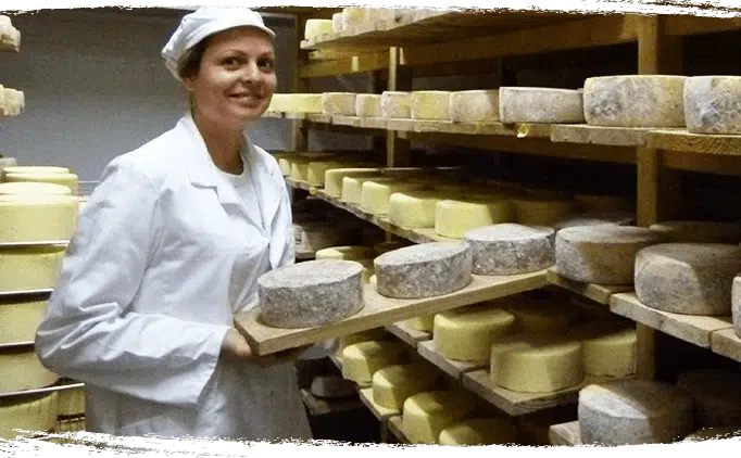 Marie Gaborit - Cave à fromage