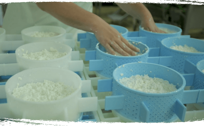 Moulage à la main fromage