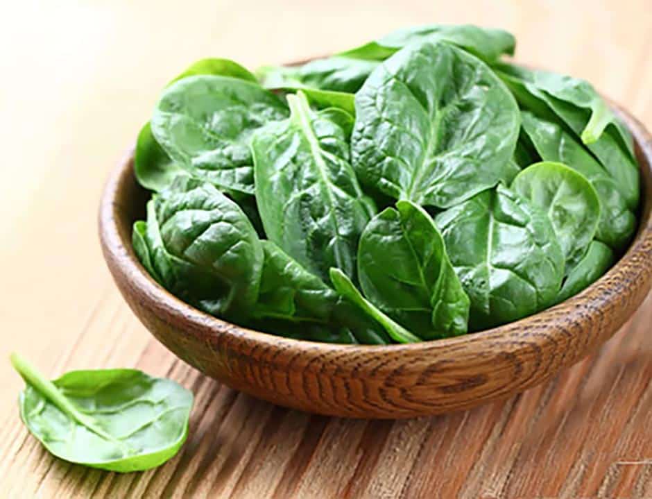 Salade bio pousses et fromage de brebis
