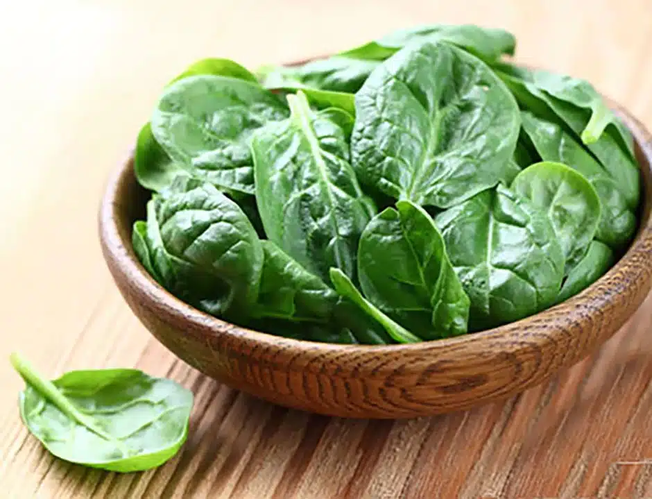 Salade bio pousses et fromage de brebis