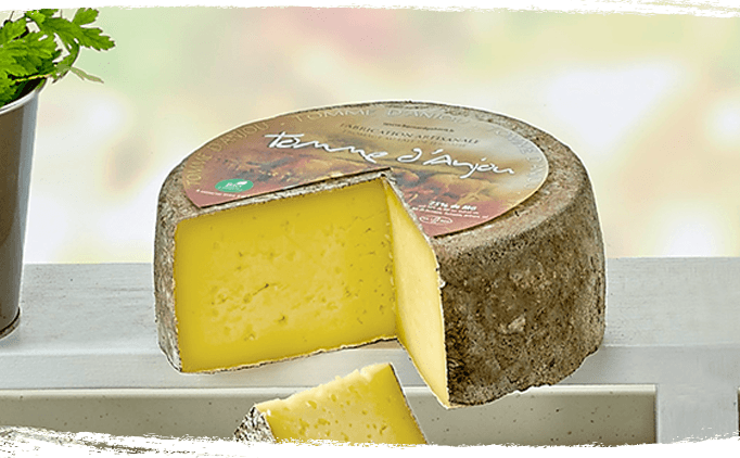 Tomme bio au lait de vache