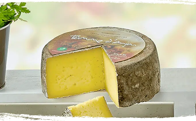 Tomme bio au lait de vache