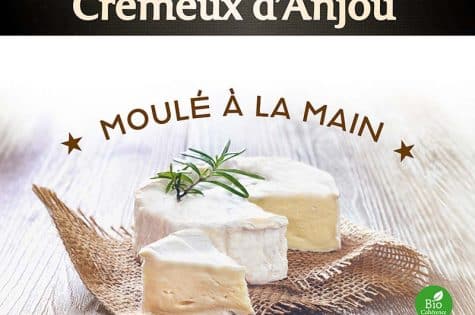 Crémeux d'Anjou - Camembert Bio