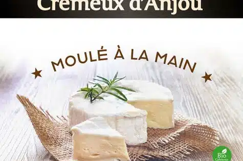 Crémeux d'Anjou - Camembert Bio