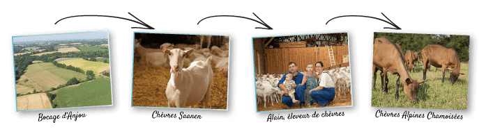 Lait de chèvre - Producteurs locaux