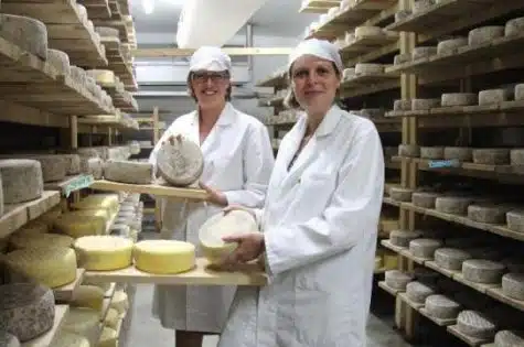 Tout un Fromage - Maulévrier