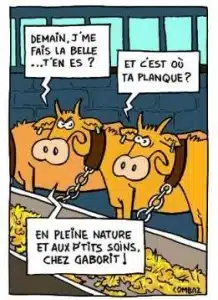 Bien-être animal
