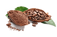 Cacao-bio