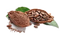 Cacao-bio