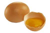 Œufs frais bio