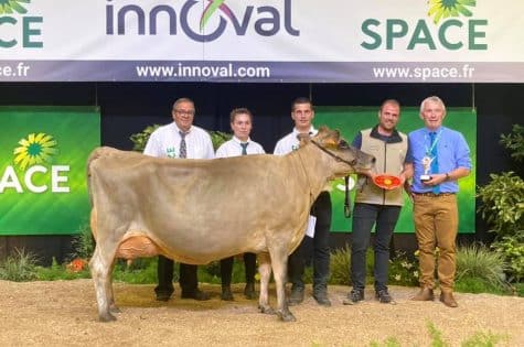Vache Laitière- Championne suprême