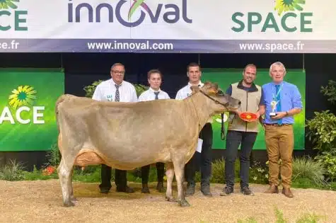 Vache Laitière- Championne suprême