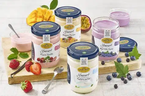 Yaourt bio brassé aux fruits
