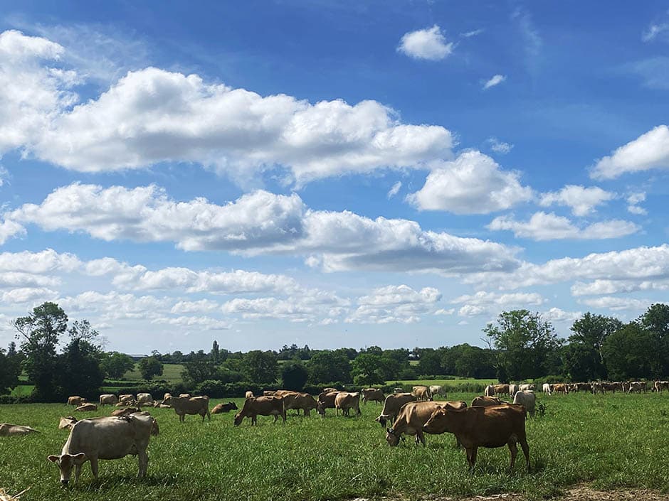 Ferme Bio ouverte Gaborit
