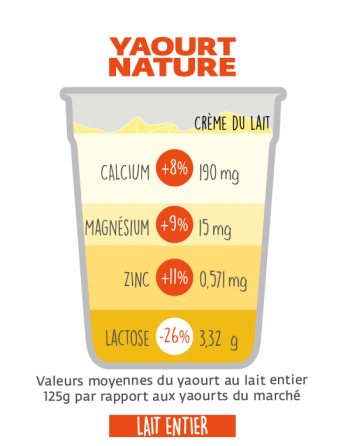 Zoom-yaourt-bio-nature-entier-schema Bienfaits du yaourt bio
